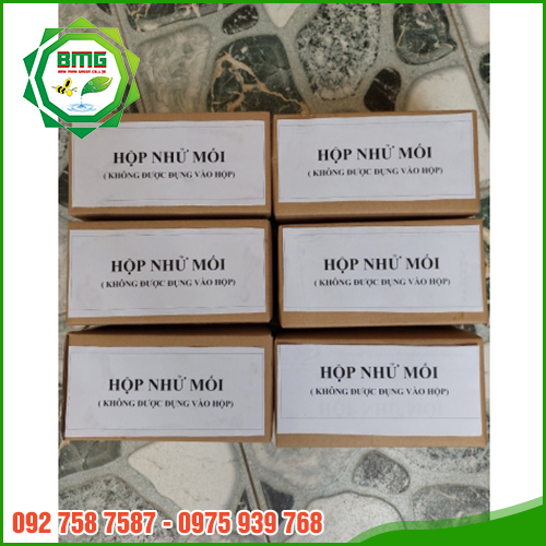 Bộ Nhử Mối Sinh Học An Toàn